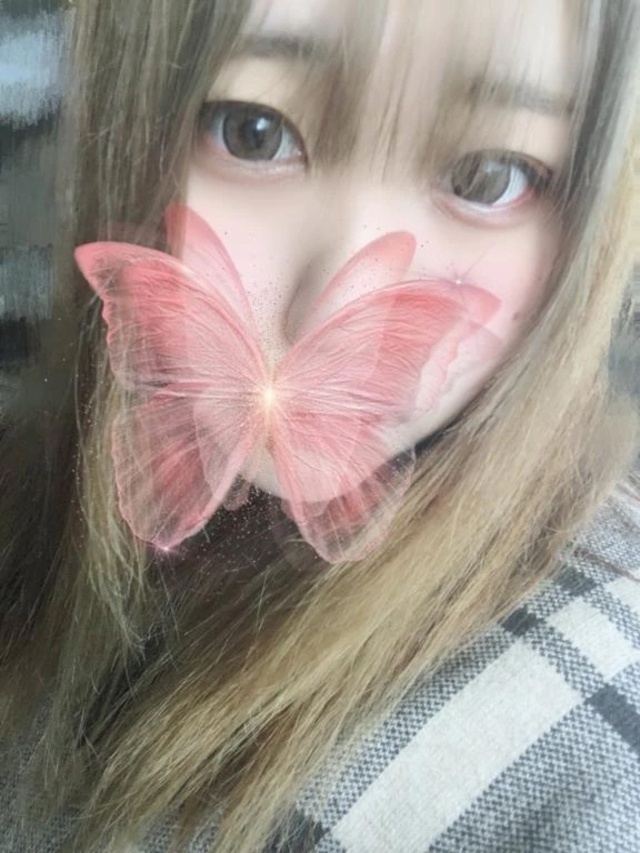 出勤してます🐰｜写メ日記｜ましろ｜品川・五反田 ぽっちゃりデリヘル ぷよステーション 品川店