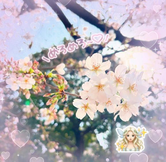 みてみてー！春見つけたよー！🌸｜写メ日記｜ゆま｜品川・五反田 ぽっちゃりデリヘル ぷよステーション 品川店