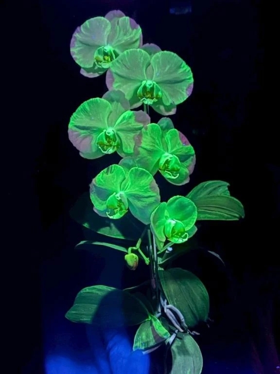 本日23:00まで出勤しています！