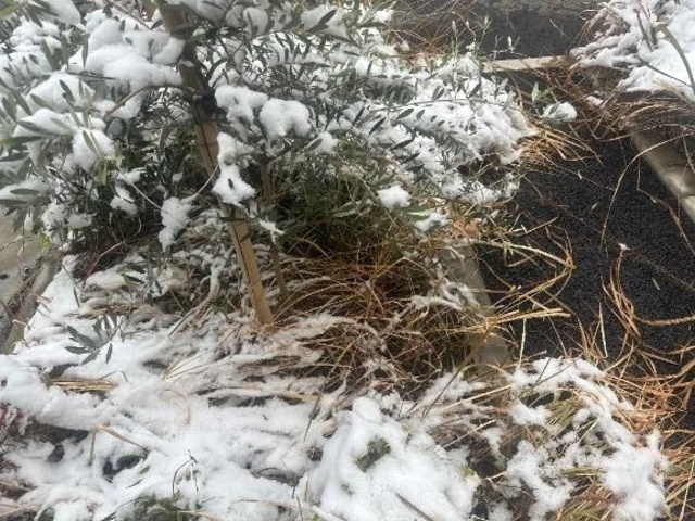 出勤(ง •̀_•́)ง｜写メ日記｜まこ｜品川・五反田 ぽっちゃりデリヘル ぷよステーション 品川店