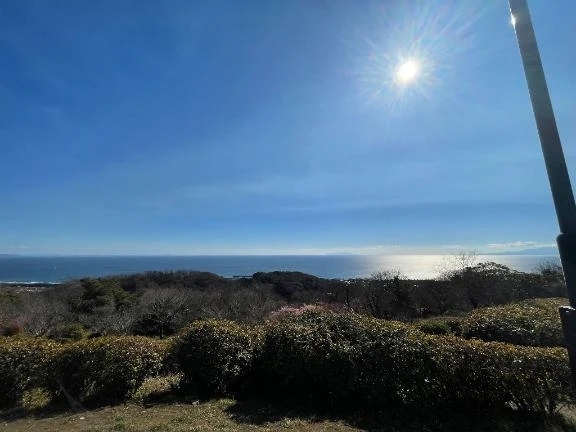 ！？！！｜写メ日記｜ゆう｜品川・五反田 ぽっちゃりデリヘル ぷよステーション 品川店