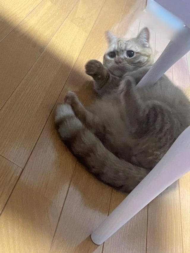 大好きっ(*^ω^*)｜写メ日記｜ゆう｜品川・五反田 ぽっちゃりデリヘル ぷよステーション 品川店