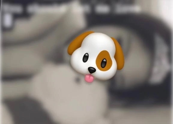 初めましての子犬系Tさんへ🐶💗｜写メ日記｜さき｜品川・五反田 ぽっちゃりデリヘル ぷよステーション 品川店