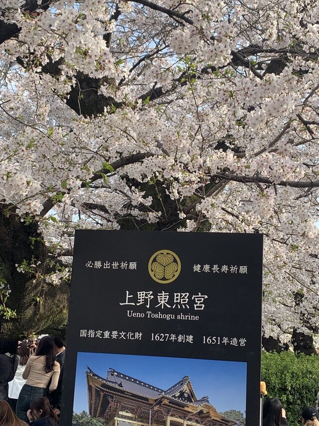 4月だね🌸｜写メ日記｜深尾 まなみ｜鶯谷 出張SM ５（ファイブ）