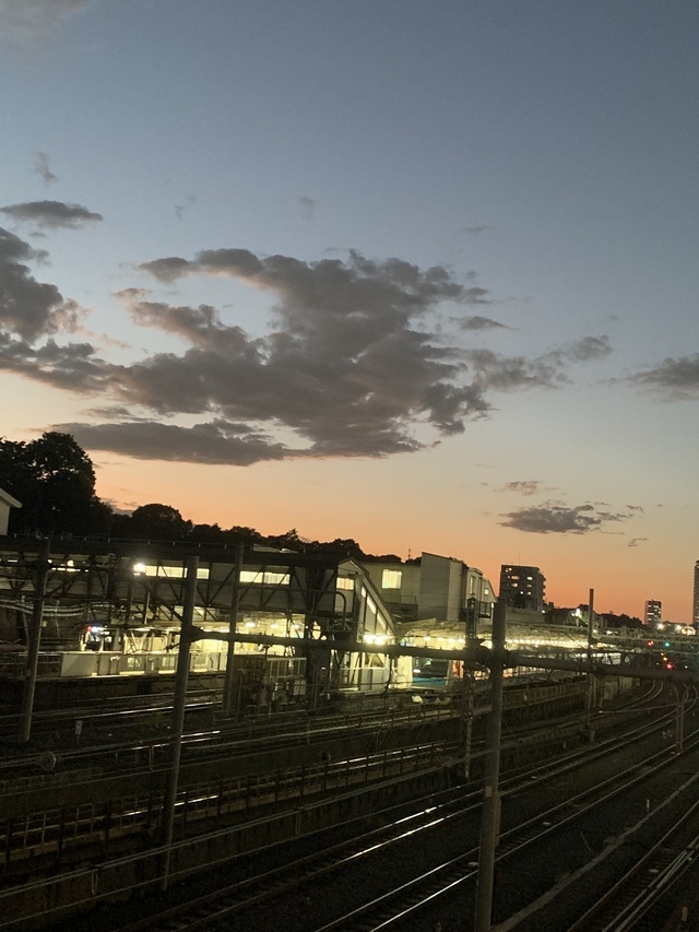 楽しい夜｜写メ日記｜深尾 まなみ｜鶯谷 出張SM ５（ファイブ）