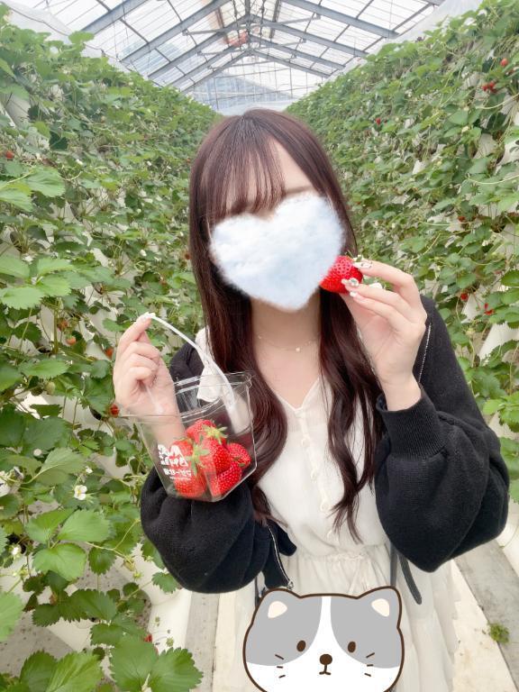 出勤｜写メ日記｜かのん｜新宿 一般デリヘル ナイトヴィーナス