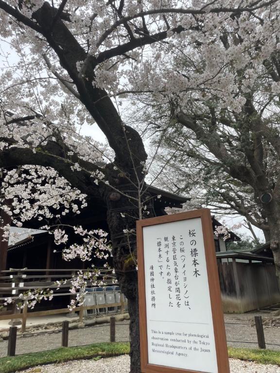 春はすぐそこ｜写メ日記｜ひめか｜新宿 一般デリヘル ナイトヴィーナス