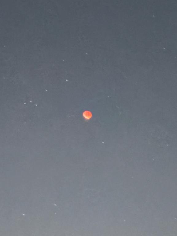 お久しぶりです｜写メ日記｜あやな｜新宿 一般デリヘル ナイトヴィーナス