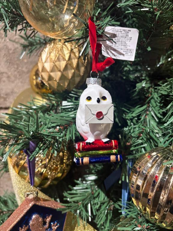 教えて欲しいよ〜｜写メ日記｜なつみ｜新宿 一般デリヘル ナイトヴィーナス