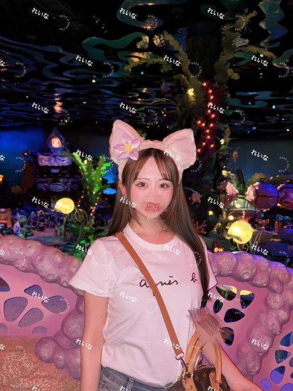 夢の国行ってきたよ｜写メ日記｜れいな｜新宿 一般デリヘル ナイトヴィーナス