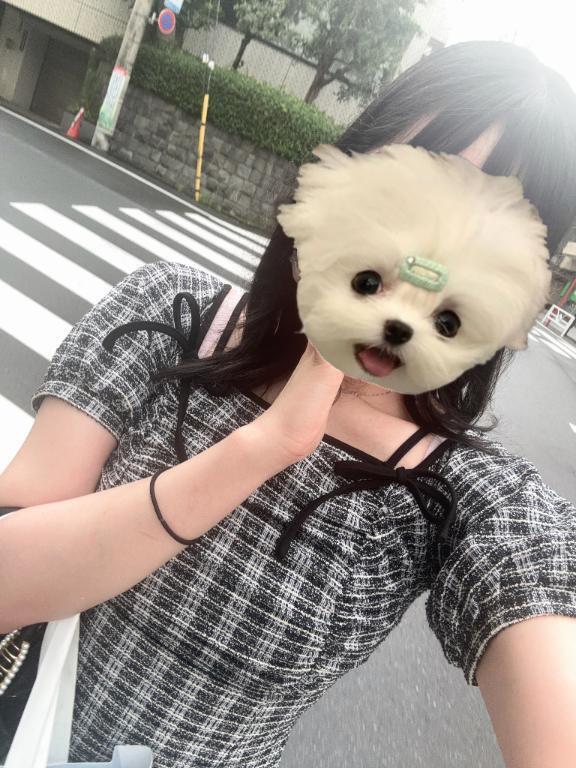 はじめましてのご挨拶｜写メ日記｜MARIN｜鶯谷 一般デリヘル さくらん東京