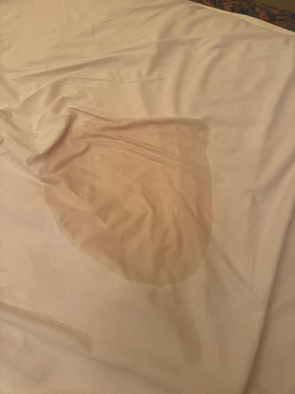 次回｜写メ日記｜HOTARU｜鶯谷 一般デリヘル さくらん東京