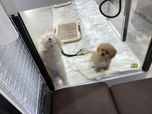 お疲れ様です｜写メ日記｜みれい｜品川・五反田 人妻デリヘル 奥様鉄道69 東京店