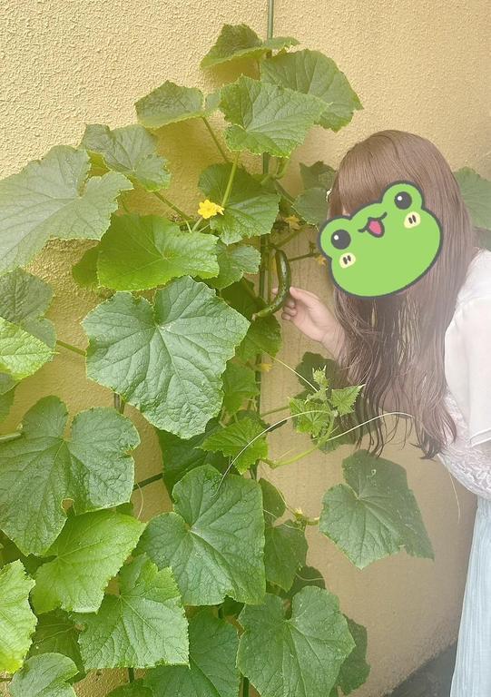 今年も家庭菜園してますよ…ももかより☆ミ｜写メ日記｜ももか｜品川・五反田 人妻デリヘル 奥様鉄道69 東京店
