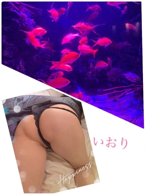 おはようございます♪｜写メ日記｜いおり｜品川・五反田 人妻デリヘル 奥様鉄道69 東京店