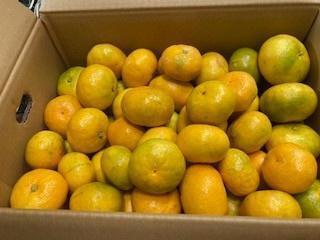 🍀おはようございます🍋🍀