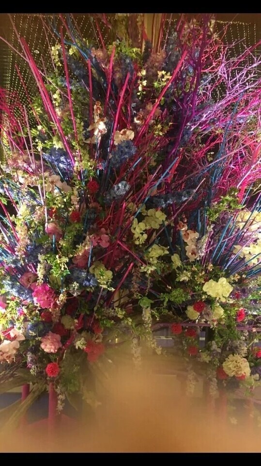 🌸本日出勤🌸｜写メ日記｜はつね｜品川・五反田 人妻デリヘル 奥様鉄道69 東京店