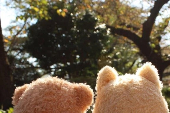 🌸🍭おはようございます🌸🍭❄️｜写メ日記｜はつね｜品川・五反田 人妻デリヘル 奥様鉄道69 東京店