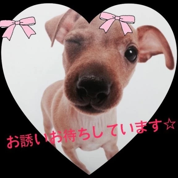 こんばんはー！^ - ^｜写メ日記｜すみれ｜品川・五反田 人妻デリヘル 奥様鉄道69 東京店