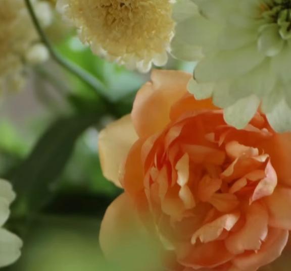 30日リクエスト｜写メ日記｜きほ｜品川・五反田 人妻デリヘル 奥様鉄道69 東京店