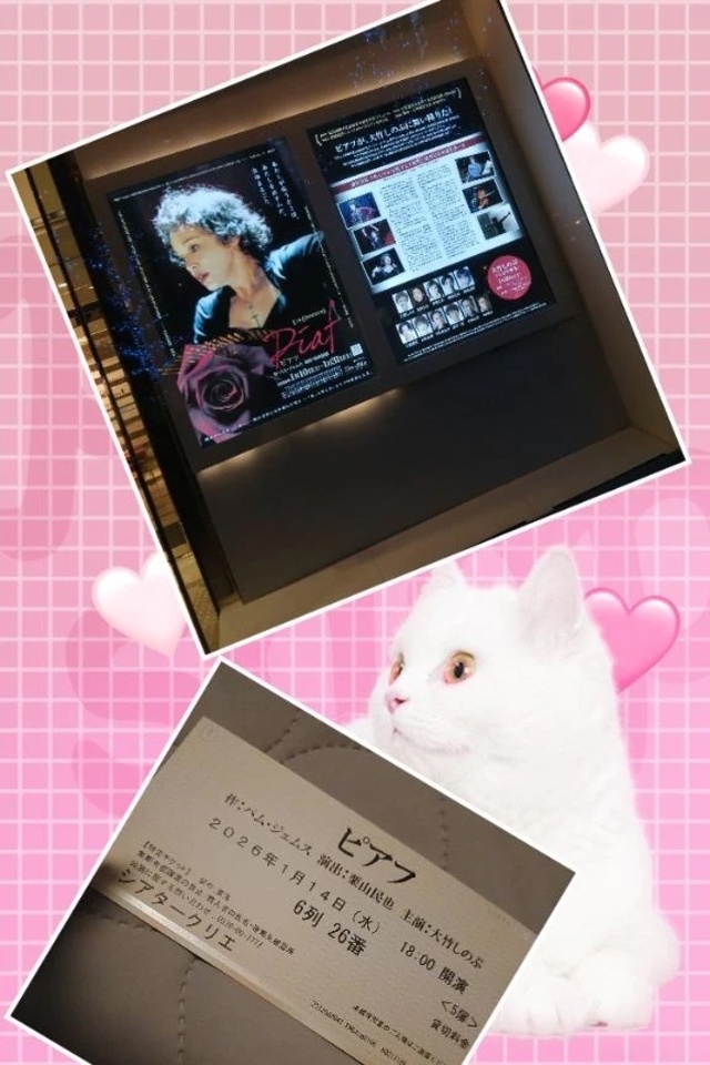 おはようございます｜写メ日記｜こはる｜品川・五反田 人妻デリヘル 奥様鉄道69 東京店