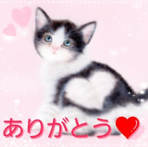 26日(土)の御礼です(*ov.v)o｜写メ日記｜いちか｜品川・五反田 人妻デリヘル 奥様鉄道69 東京店