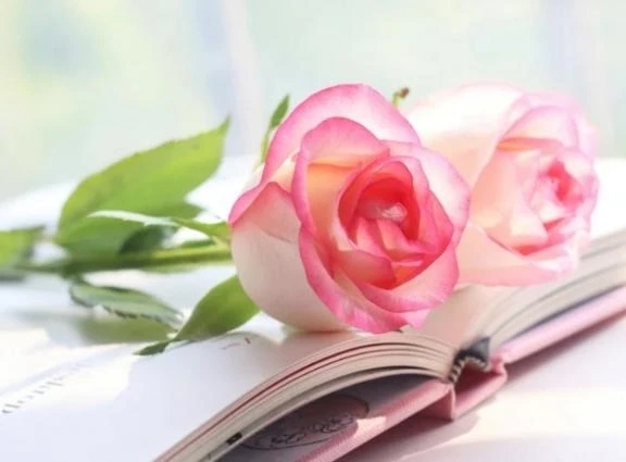 栄養補給☆｜写メ日記｜ひかり｜品川・五反田 人妻デリヘル 奥様鉄道69 東京店