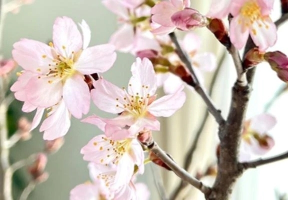 ゆるみすぎ注意 笑