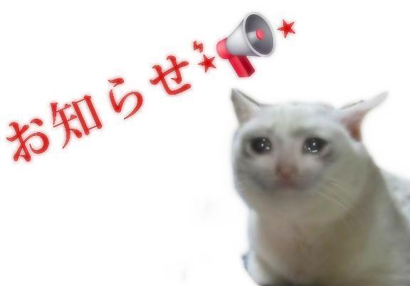 なんで〜?