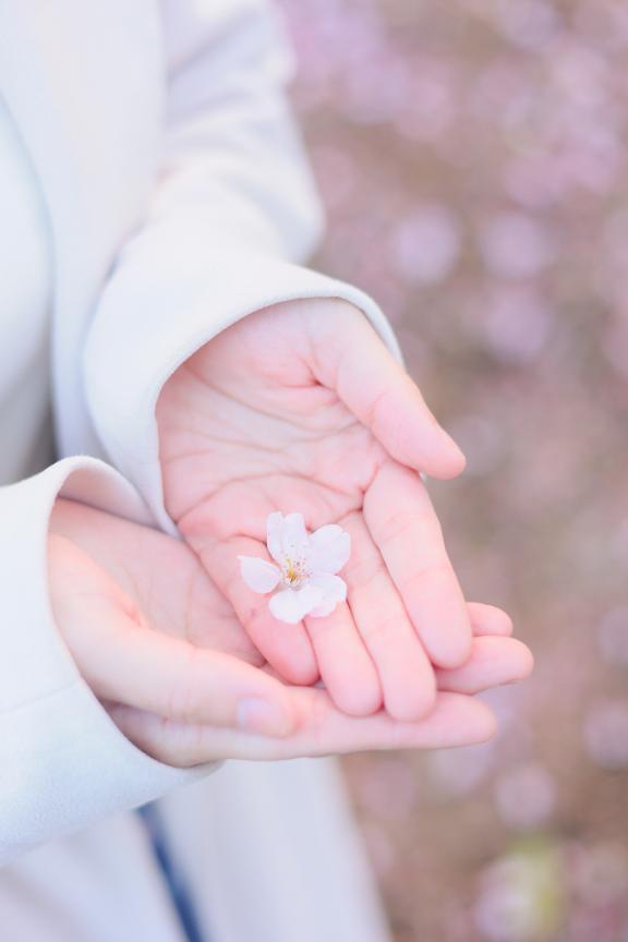 出勤しました🩷本当✨｜写メ日記｜こずえ｜立川・八王子・三多摩 人妻デリヘル OneMore奥様　立川店