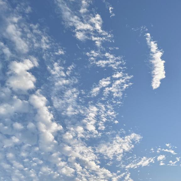おはようございます☂️｜写メ日記｜さきの｜立川・八王子・三多摩 人妻デリヘル OneMore奥様　立川店