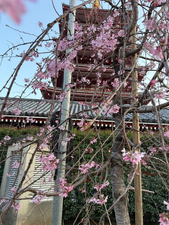 天気がいいね☀️｜写メ日記｜るみ｜池袋 人妻デリヘル 池袋人妻城
