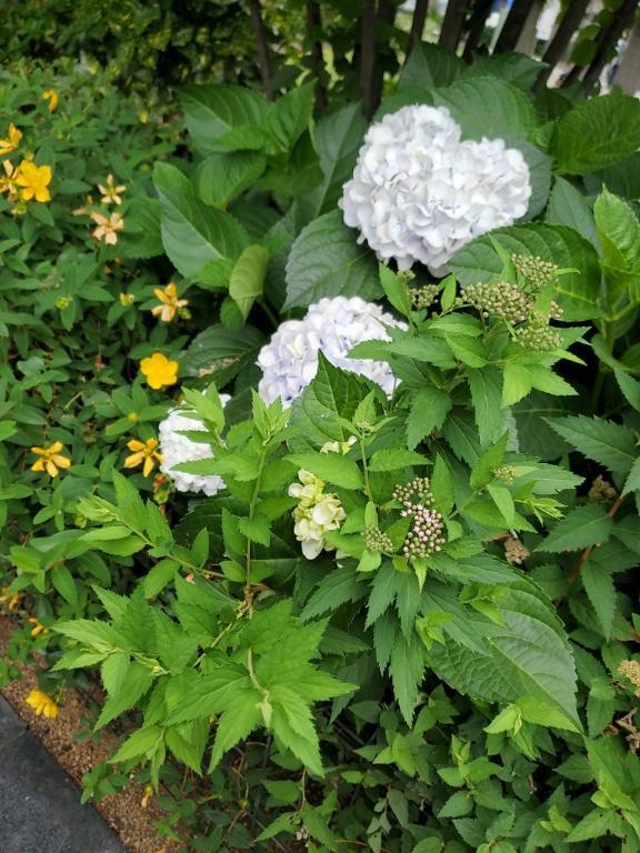 すごくわくわくするる͛.*🍃💠𓂃𓈒𓏸︎︎︎