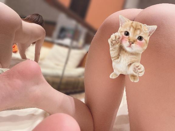 出勤してます🐈♡｜写メ日記｜こはる｜池袋 人妻デリヘル 池袋人妻城
