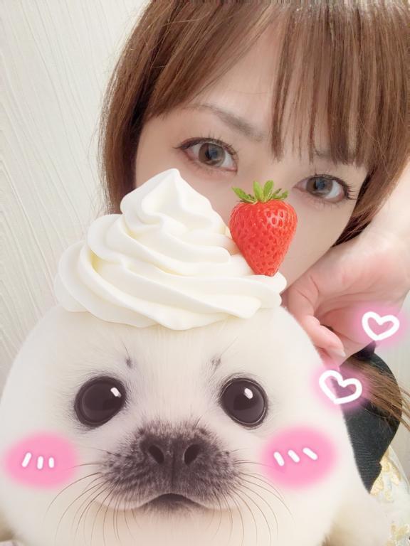トキワ O様♡｜写メ日記｜しいな｜池袋 人妻デリヘル 池袋人妻城