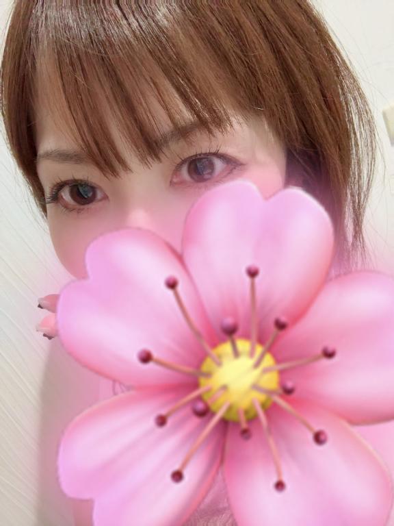 チェックインバリ T様♡｜写メ日記｜しいな｜池袋 人妻デリヘル 池袋人妻城