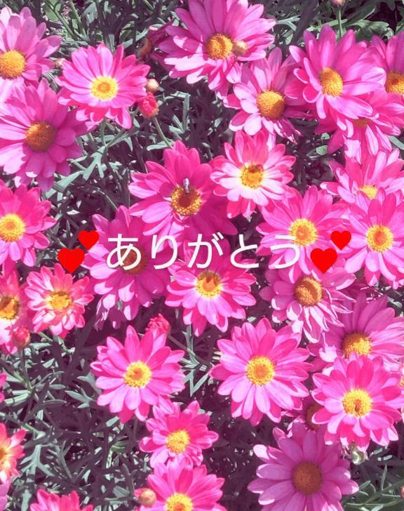 お礼🥰｜写メ日記｜みずき｜池袋 人妻デリヘル 池袋人妻城