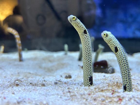水族館💙｜写メ日記｜みあ｜池袋 人妻デリヘル 池袋人妻城