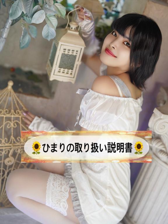 🌻ひまりの取り扱い説明書🌻