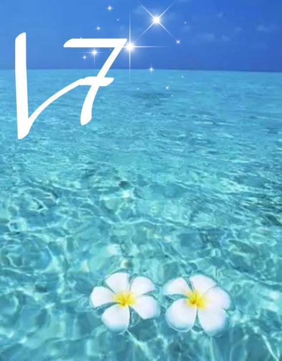 𝑨𝒖𝒈𝒖𝒔𝒕 𝑺𝒄𝒉𝒆𝒅𝒖𝒍𝒆 ✨