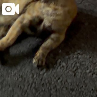 ふわふわのお友｜写メ日記｜きよか｜池袋 人妻デリヘル 池袋人妻城