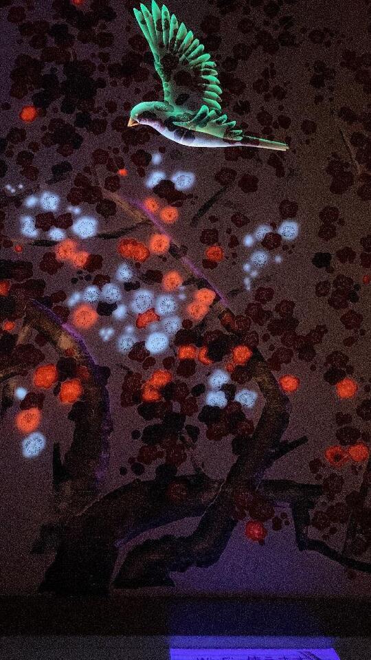 今日のお客様💗