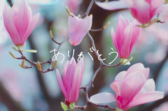 お礼です💓｜写メ日記｜なるみ｜池袋 人妻デリヘル 池袋人妻城