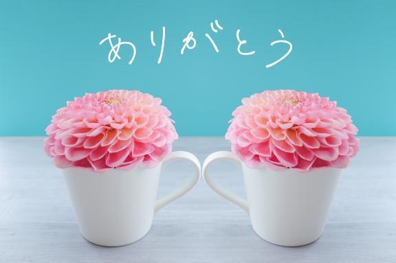 昨日のお礼です💓