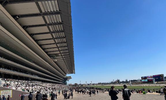 🏇｜写メ日記｜みゆき｜池袋 人妻デリヘル 池袋人妻城