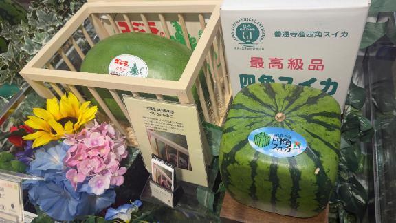 🍒｜写メ日記｜なみ｜池袋 人妻デリヘル 池袋人妻城