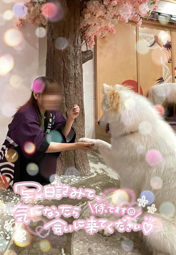 小さい秋🍁｜写メ日記｜ふうか｜池袋 人妻デリヘル 池袋人妻城