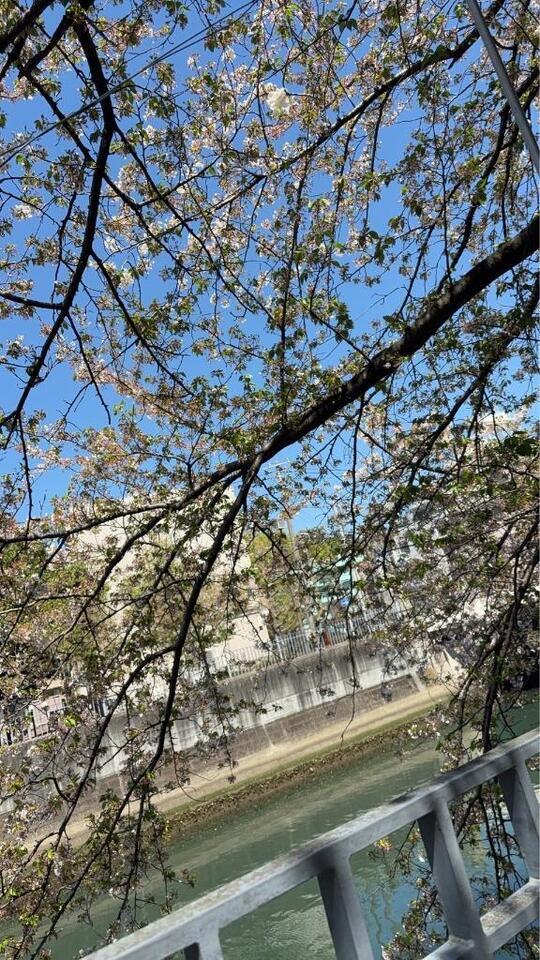 (´・ω・｀)｜写メ日記｜まこ｜池袋 人妻デリヘル 池袋人妻城