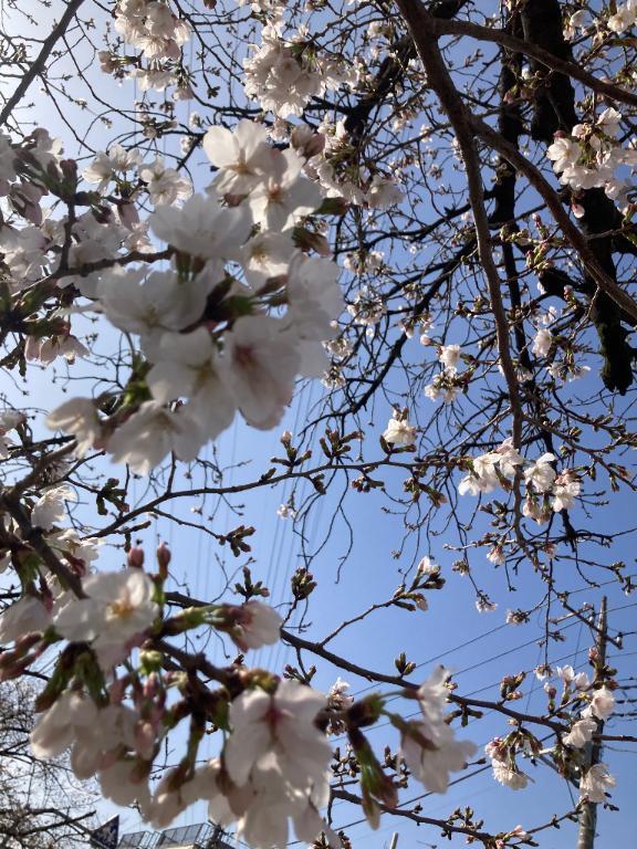 お休みいただきます🙇‍♀️