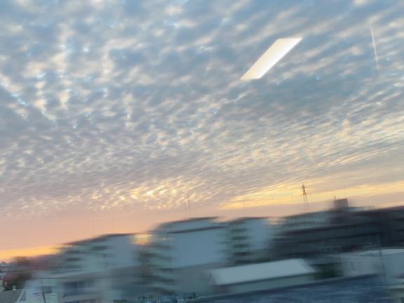 晴れるといいな。｜写メ日記｜らむ｜池袋 人妻デリヘル 池袋人妻城